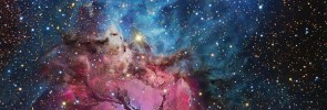 A Beautiful Trifid